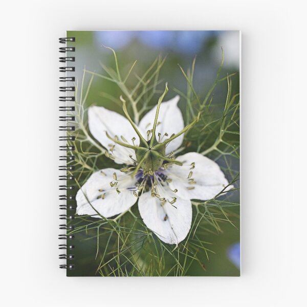 Item preview, Flower network in detail designed and sold by ODENWALD-Natur.