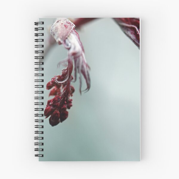 Item preview, frozen winter flower designed and sold by ODENWALD-Natur.