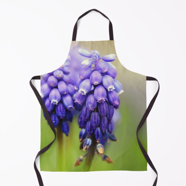 Item preview, Grape hyacinth designed and sold by ODENWALD-Natur.