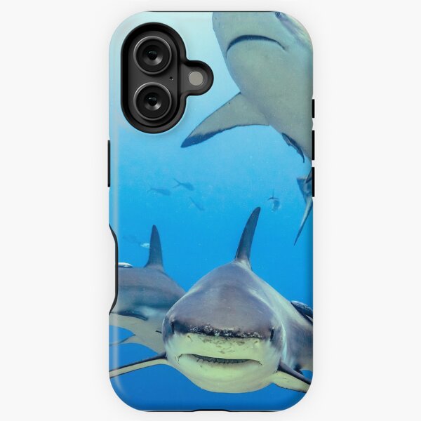 Vista previa del artículo con la obra «Tiburones del Caribe», diseñado y vendido por Robbie Labanowski.