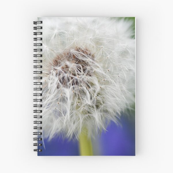 Item preview, Dandelion in detail designed and sold by ODENWALD-Natur.