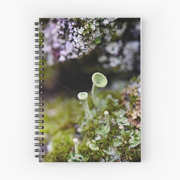 Item preview, From this world? designed and sold by ODENWALD-Natur.