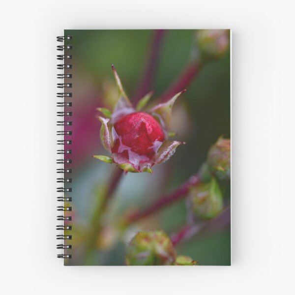 Item preview, Red little flower designed and sold by ODENWALD-Natur.