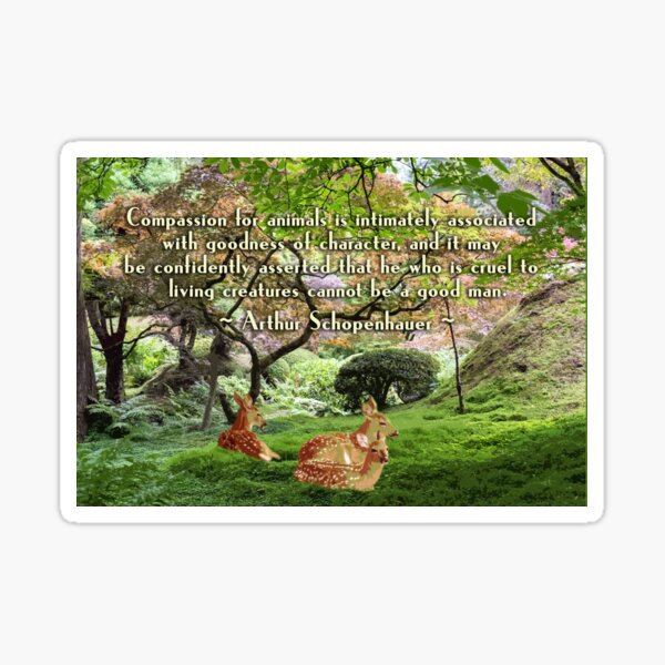 Compassion And Goodness Sticker
