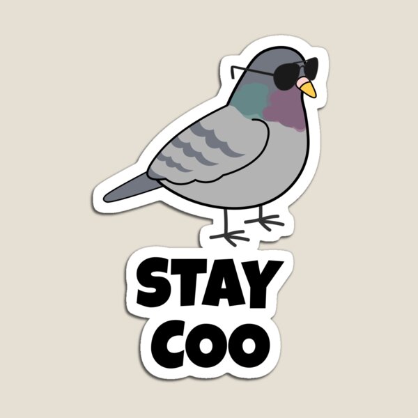 Pigeon Shirt, Stay Coo Pigeon Gifts, Funny Bird Gifts, Bird Shirts, Birding  Shir