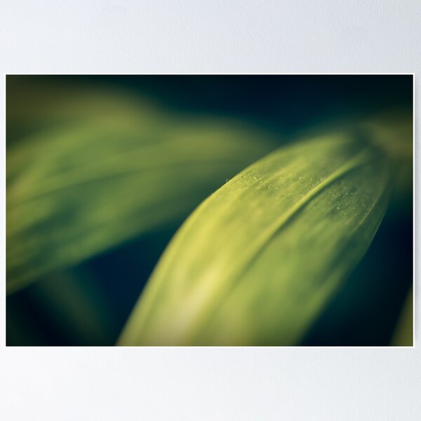 Natural details 72 Poster