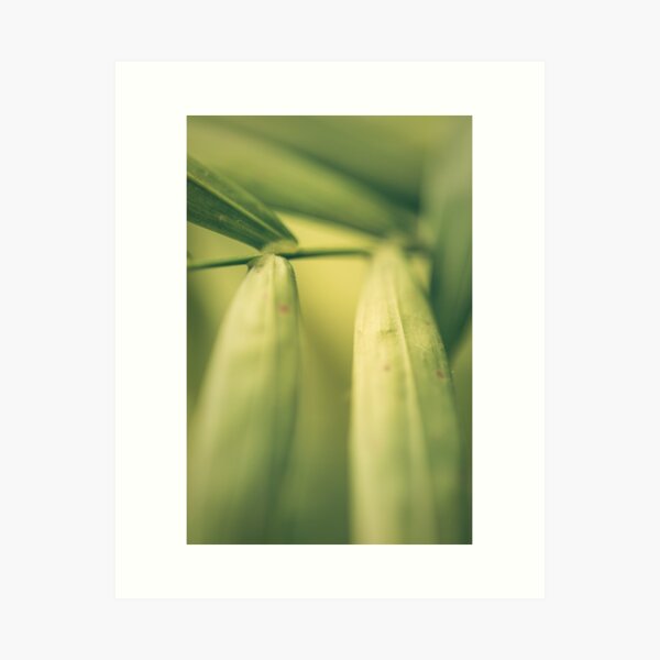 Natural Details 74 Art Print