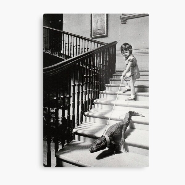 You know, just walking with my pet crocodile Metal Print