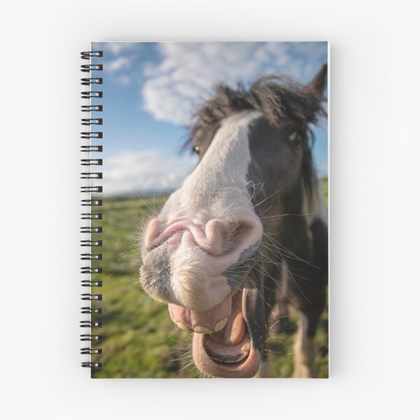 Artikelvorschau, mein neues bestes Freund Pony entworfen und verkauft von JoeEJackson.