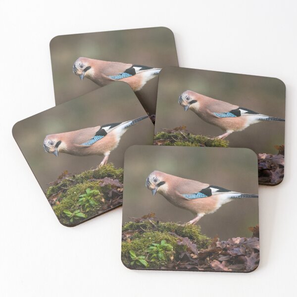 Item preview, Eurasian Jay designed and sold by Alec Stewart.