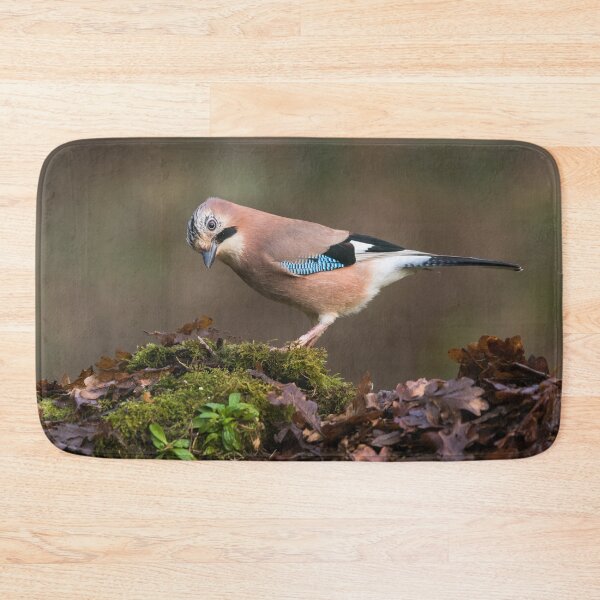Item preview, Eurasian Jay designed and sold by Alec Stewart.