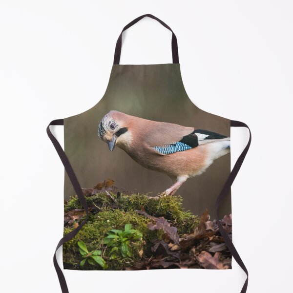 Item preview, Eurasian Jay designed and sold by Alec Stewart.