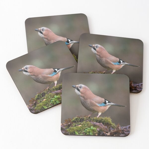 Item preview, Eurasian Jay designed and sold by Alec Stewart.