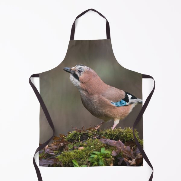 Item preview, Eurasian Jay designed and sold by Alec Stewart.