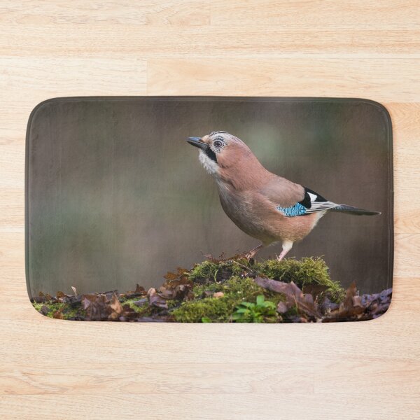 Item preview, Eurasian Jay designed and sold by Alec Stewart.