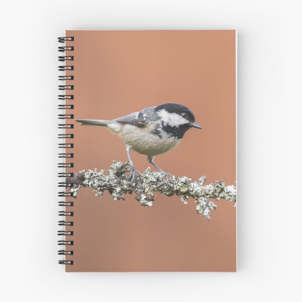 Item preview, Coal Tit designed and sold by Alec Stewart.