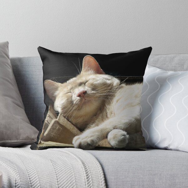 Funny Face Throw Pillow