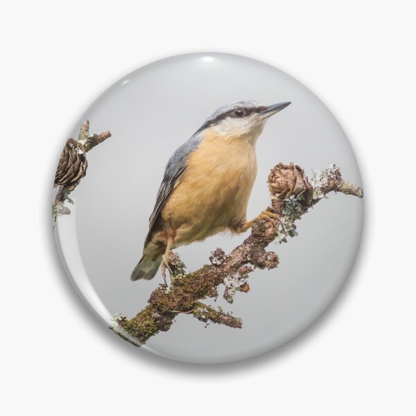 Item preview, Nuthatch designed and sold by Alec Stewart.