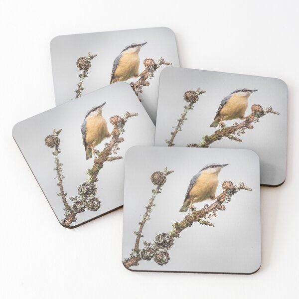 Item preview, Nuthatch designed and sold by Alec Stewart.