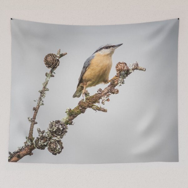 Item preview, Nuthatch designed and sold by Alec Stewart.