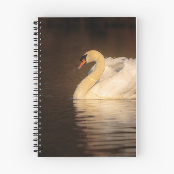 Item preview, Mute Swan  designed and sold by Alec Stewart.