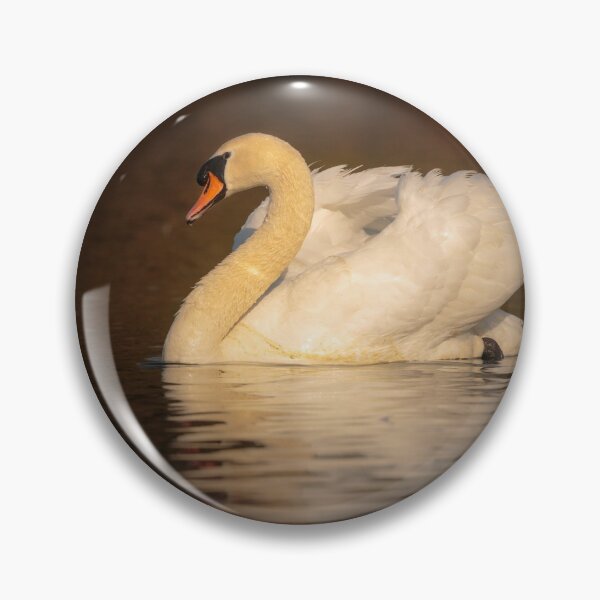 Item preview, Mute Swan  designed and sold by Alec Stewart.