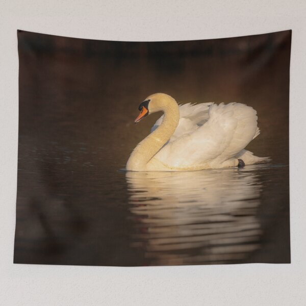 Item preview, Mute Swan  designed and sold by Alec Stewart.
