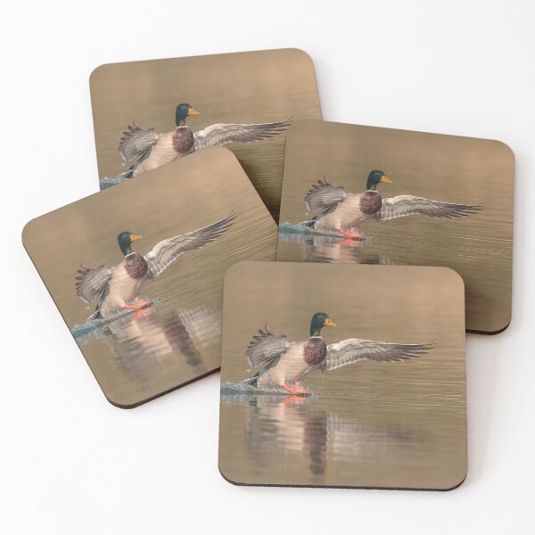 Item preview, Mallard Landing designed and sold by Alec Stewart.