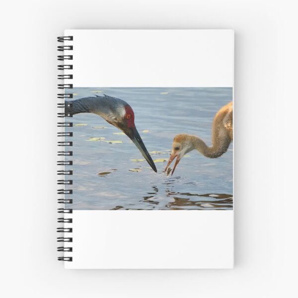 Item preview, Sandhill crane parent with chick designed and sold by Joe Saladino.