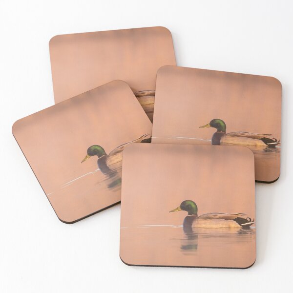 Item preview, Mallard at Sunrise designed and sold by Alec Stewart.