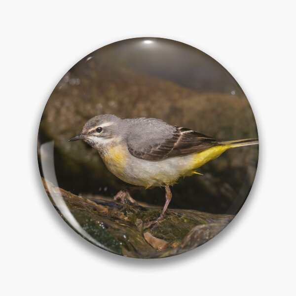 Item preview, Grey Wagtail designed and sold by Alec Stewart.