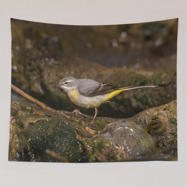 Item preview, Grey Wagtail designed and sold by Alec Stewart.
