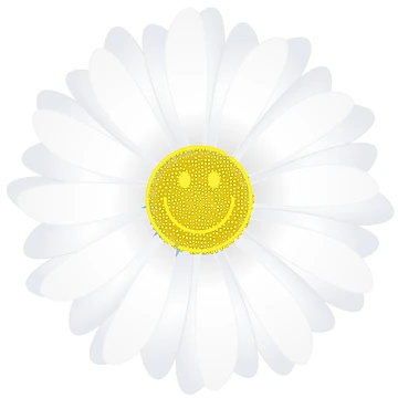 Artwork thumbnail, Daisy by Cute Bunny