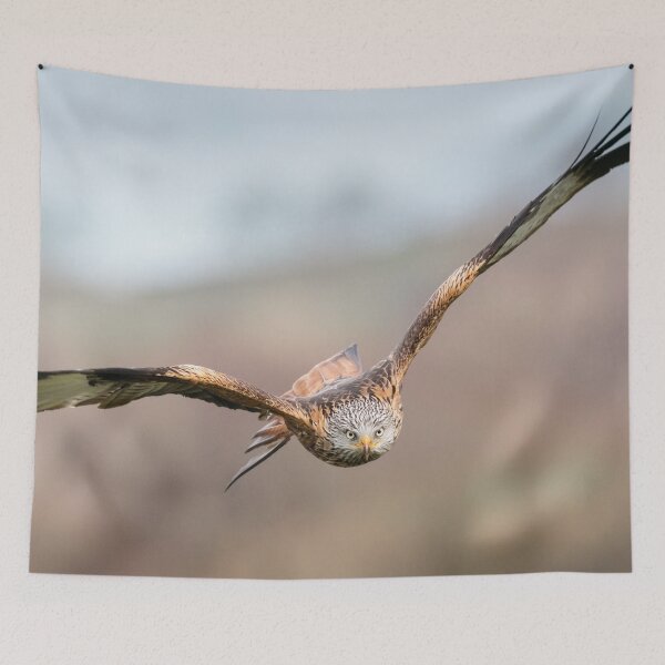 Item preview, Red Kite in Flight designed and sold by Alec Stewart.