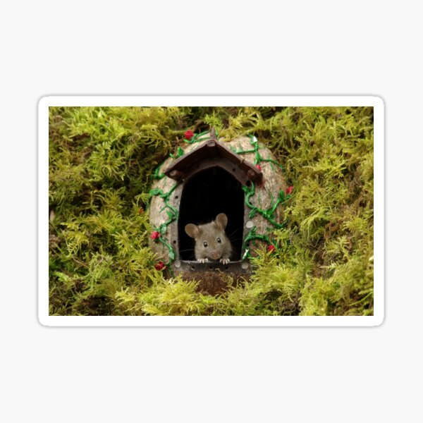 cute baby mouse at the door Sticker