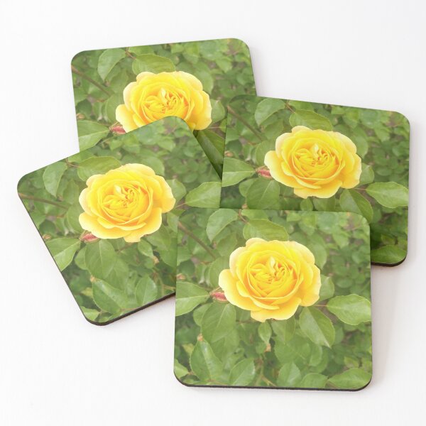 Aperçu de l'œuvre Une rose jaune créée et vendue par tattib.