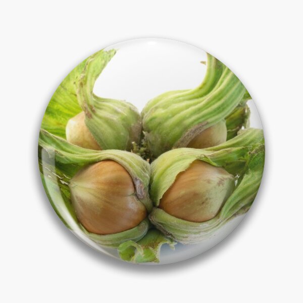 Item preview, Hazelnut designed and sold by troianifabrizio.