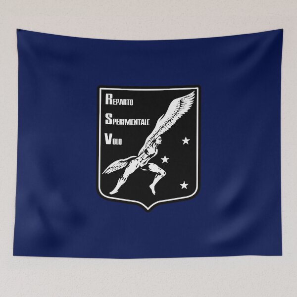 Item preview, Test Flight Department - Reparto Sperimentale Volo (Italian Air Force) designed and sold by wordwidesymbols.