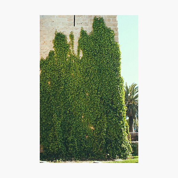 Item preview, Castle wall overgrown with ivy  designed and sold by Benoit-vg.