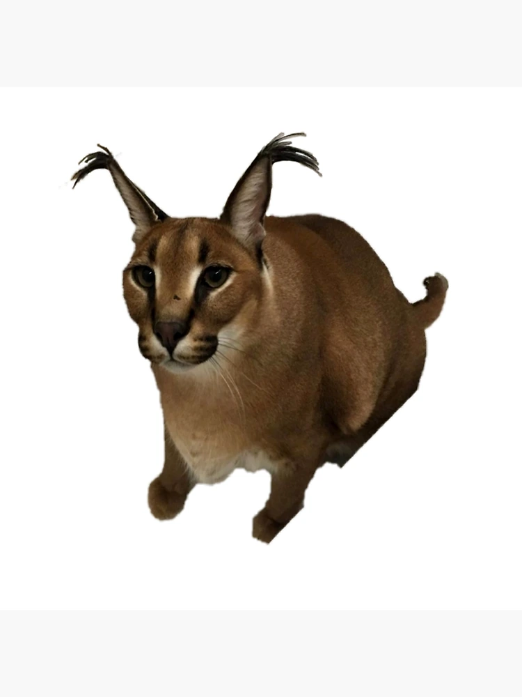 FLOPPA CAT \ CARACALS / GOOD AT MATH | Greeting Card