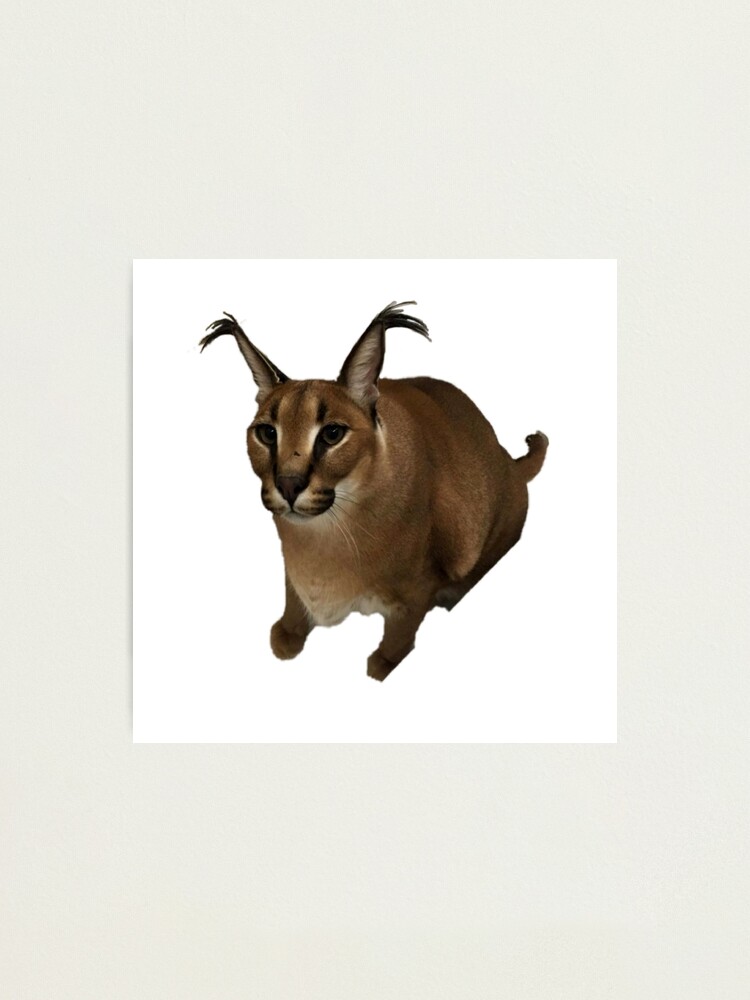 Big Floppa My Beloved Caracal Meme | Art Board Print