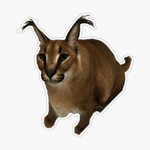 Floppa Cat Sticker - Floppa Cat Caracal - Discover & Share GIFs