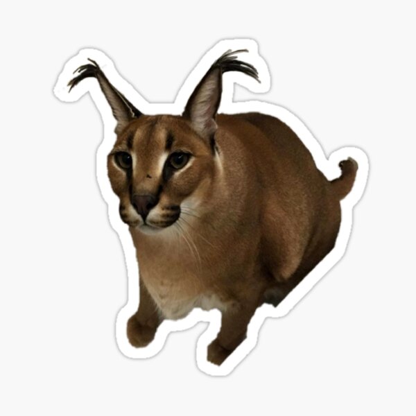 Big Floppa Meme Lindo Gato Caracal PopSockets PopGrip Intercambiable