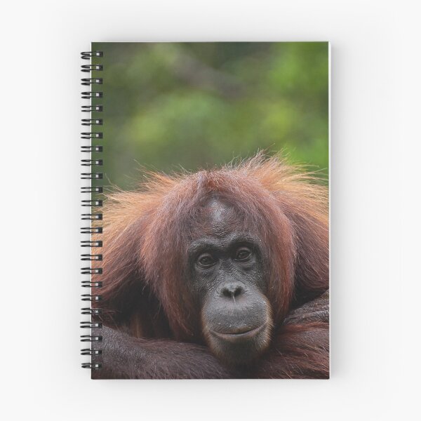 Item preview, Orangutan designed and sold by secondanchor.