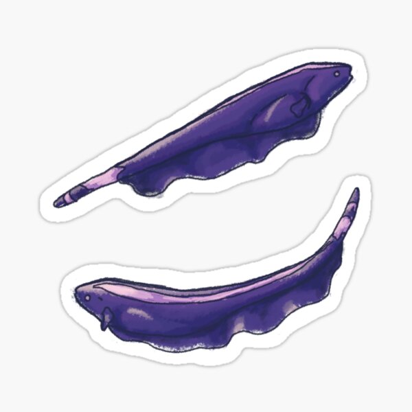 Ghost Knife Fish - Aquarium Lover - Fish Parent - Cool Fish - Knifefish Sticker