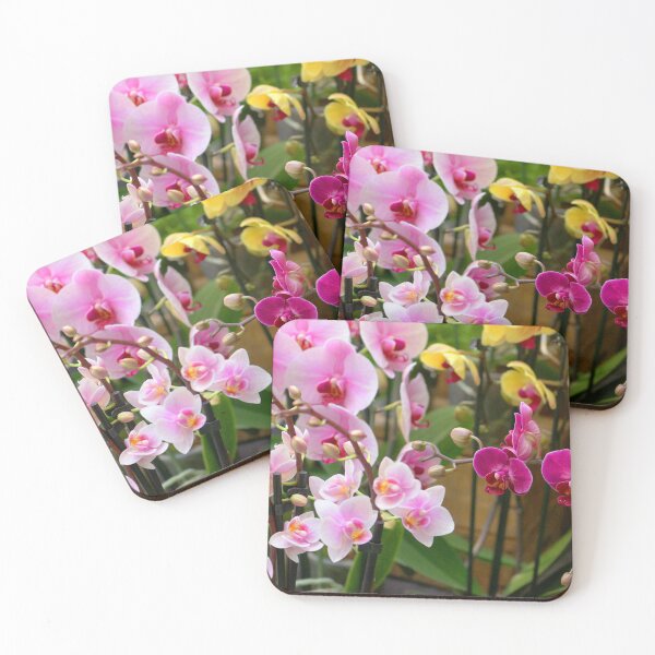 Item preview, Colourful Orchids designed and sold by pinkal.