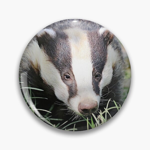 Item preview, An Adorable Badger designed and sold by Karen Thomson.