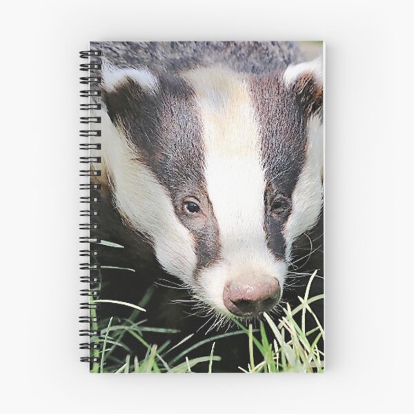 Item preview, An Adorable Badger designed and sold by Karen Thomson.
