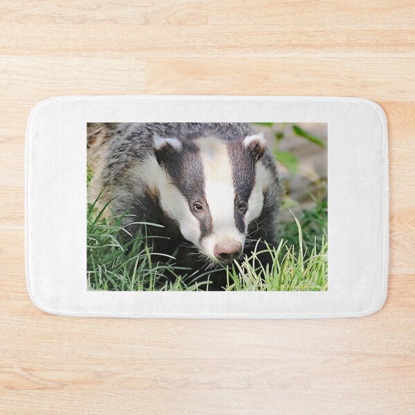 Item preview, An Adorable Badger designed and sold by Karen Thomson.