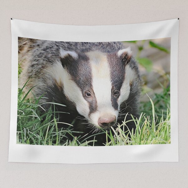 Item preview, An Adorable Badger designed and sold by Karen Thomson.